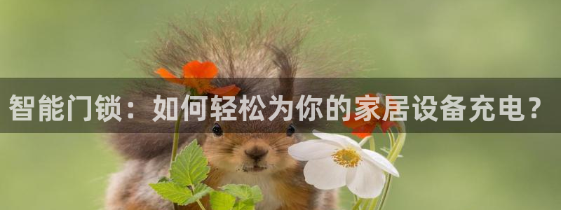开丰娱乐最新活动：智能门锁：如何轻松为你的家居设备充电？