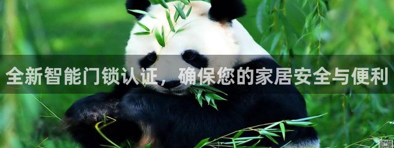 开丰娱乐天：全新智能门锁认证，确保您的家居安全与便利