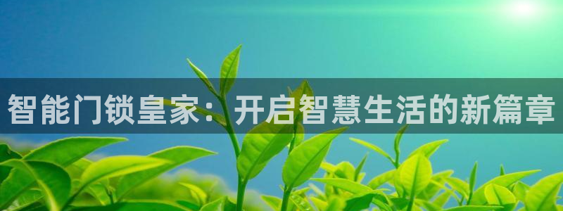 开丰娱乐官网招聘：智能门锁皇家：开启智慧生活的新篇章