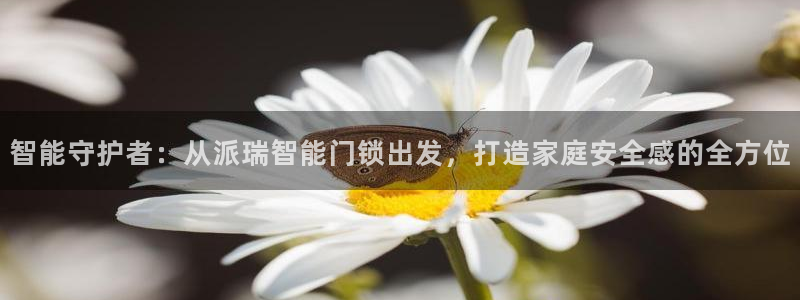 开丰娱乐最新活动：智能守护者：从派瑞智能门锁出发，打造家庭安
