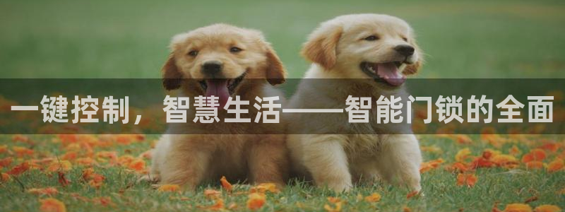 开丰娱乐科技：一键控制，智慧生活——智能门锁的全面