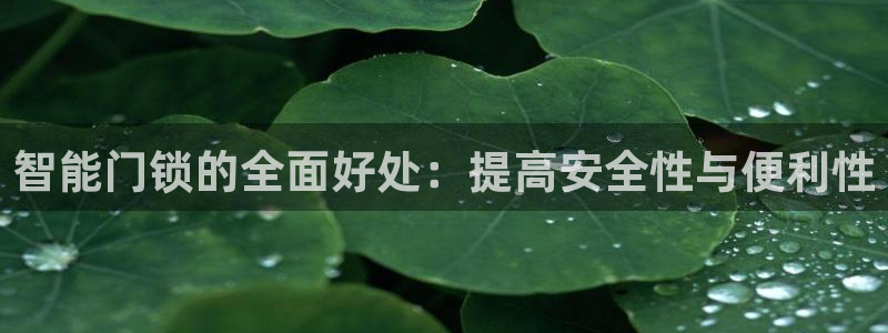 开丰娱乐 赢咖一：智能门锁的全面好处：提高安全性与便利性