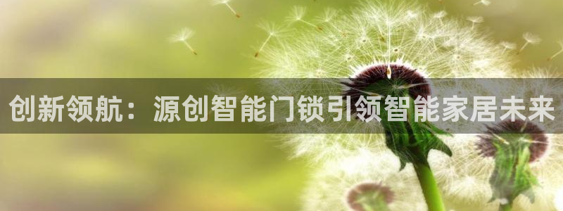 开丰娱乐下：创新领航：源创智能门锁引领智能家居未来