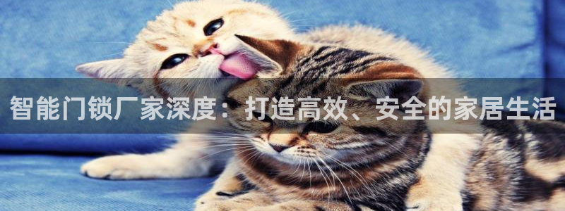 开丰娱乐最新活动：智能门锁厂家深度：打造高效、安全的家居生活