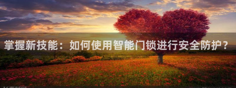开丰娱乐姜333OO：掌握新技能：如何使用智能门锁进行安全防