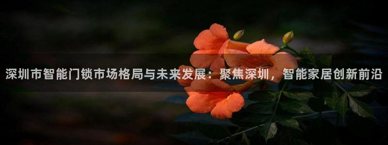 开丰娱乐登入地址：深圳市智能门锁市场格局与未来发展：聚焦深圳