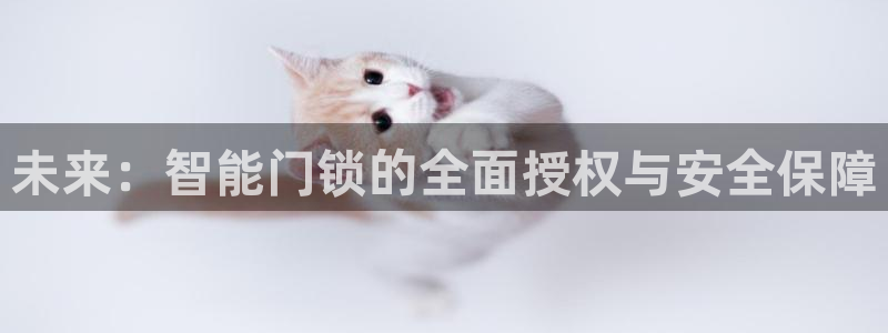开丰娱乐寸六七五一38：未来：智能门锁的全面授权与安全保障