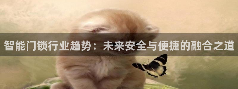 开丰娱乐天7O667：智能门锁行业趋势：未来安全与便捷的融合