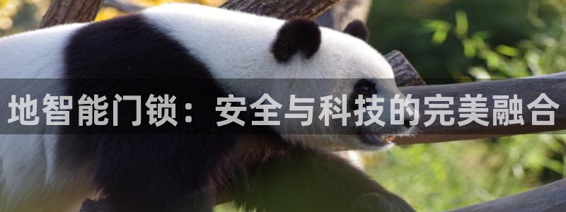 开丰娱乐右7O667：地智能门锁：安全与科技的完美融合