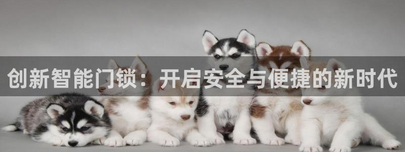 开丰娱乐登陆地址：创新智能门锁：开启安全与便捷的新时代