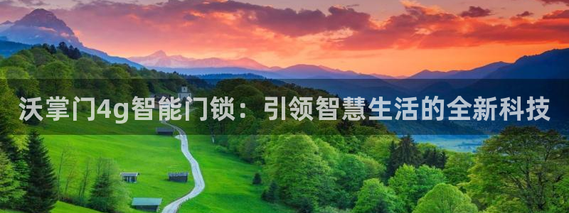 开丰娱乐不开了吗：沃掌门4g智能门锁：引领智慧生活的全新科技