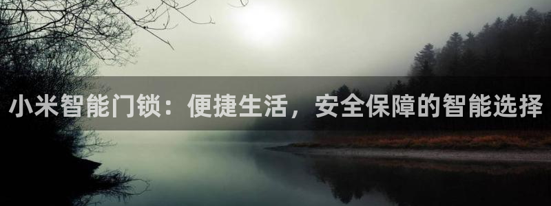 开丰娱乐app：小米智能门锁：便捷生活，安全保障的智能选择