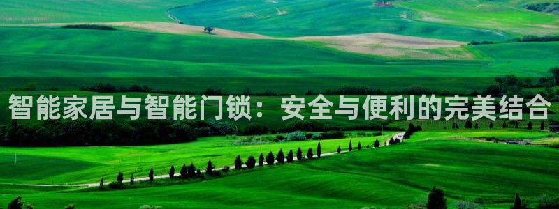 开丰娱乐日7O667：智能家居与智能门锁：安全与便利的完美结