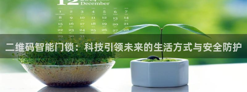 开丰娱乐怎么开转点：二维码智能门锁：科技引领未来的生活方式与