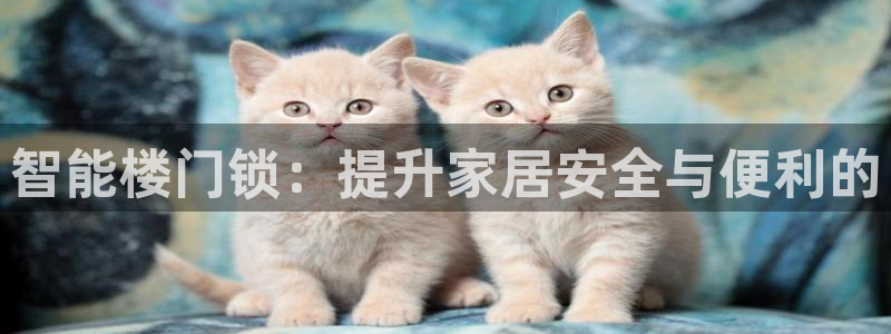 开丰娱乐注册系究耍333OO：智能楼门锁：提升家居安全与便利