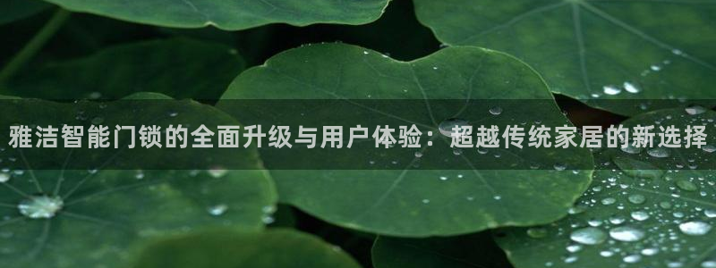 开丰娱乐平台登录网址：雅洁智能门锁的全面升级与用户体验：超越