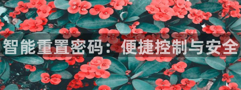 开丰娱乐平台提现失败：智能重置密码：便捷控制与安全