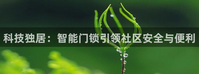 开丰娱乐违法吗：科技独居：智能门锁引领社区安全与便利