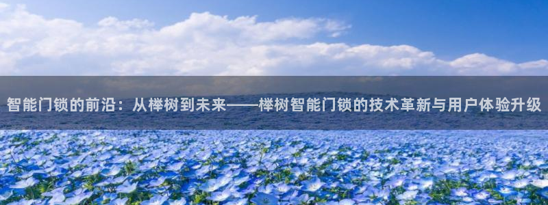 开丰娱乐开户：智能门锁的前沿：从榉树到未来——榉树智能门锁的