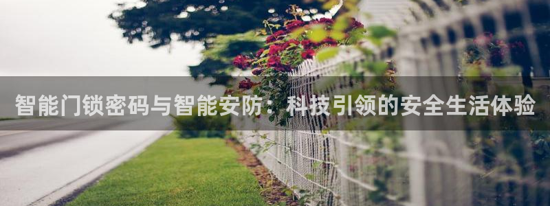 开丰娱乐与六七五一38：智能门锁密码与智能安防：科技引领的安