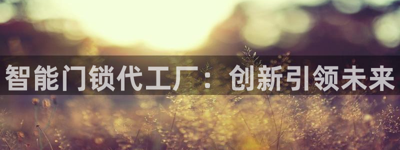 开丰娱乐 赢咖一：智能门锁代工厂：创新引领未来