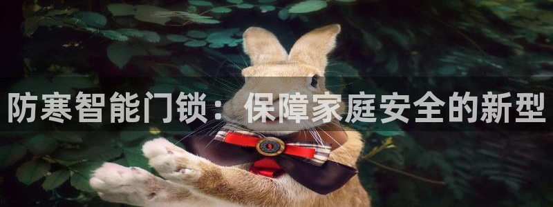 开丰娱乐平台地址查询：防寒智能门锁：保障家庭安全的新型