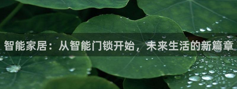 开丰娱乐注册登录不了：智能家居：从智能门锁开始，未来生活的新