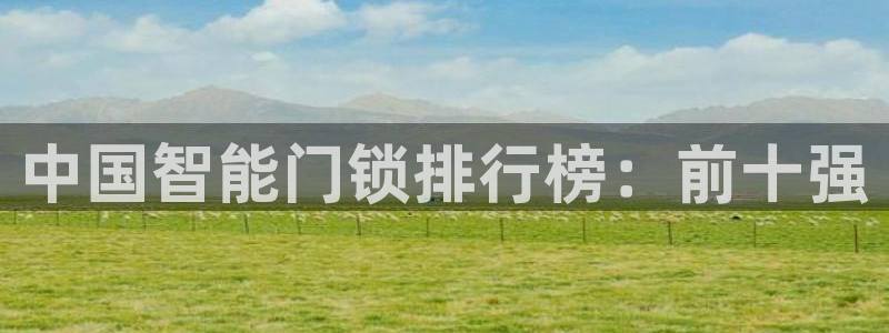 开丰娱乐登入地址查询：中国智能门锁排行榜：前十强