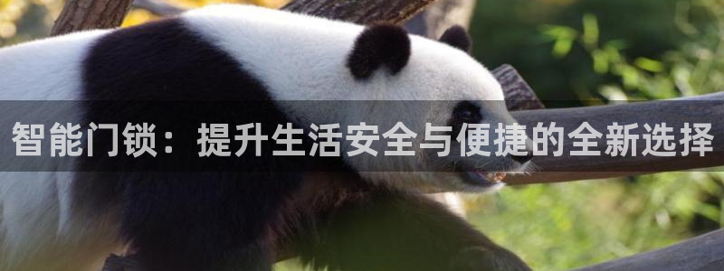 开丰娱乐后：智能门锁：提升生活安全与便捷的全新选择