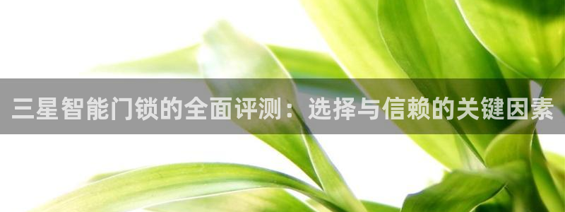 开丰娱乐地址：三星智能门锁的全面评测：选择与信赖的关键因素