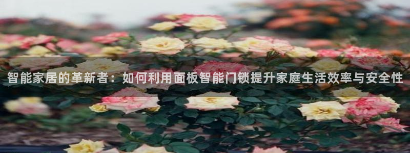 开丰娱乐地址查询：智能家居的革新者：如何利用面板智能门锁提升