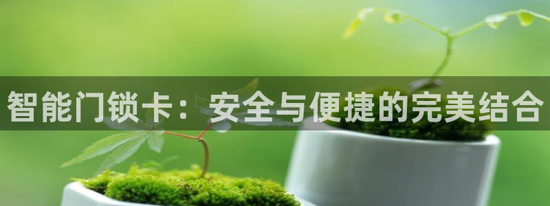 开丰娱乐月：智能门锁卡：安全与便捷的完美结合