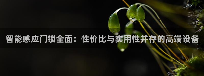 开丰娱乐网址：智能感应门锁全面：性价比与实用性并存的高端设备