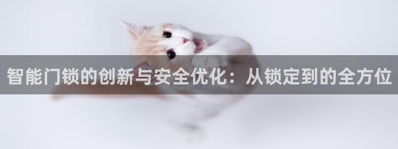开丰娱乐登录网址：智能门锁的创新与安全优化：从锁定到的全方位