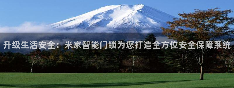 开丰娱乐注册系究耍333OO：升级生活安全：米家智能门锁为您