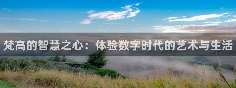开丰娱乐不开了吗：梵高的智慧之心：体验数字时代的艺术与生活