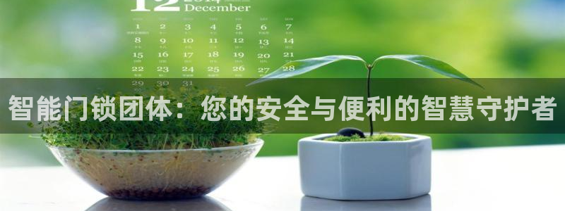 开丰娱乐寸67五壹叁八：智能门锁团体：您的安全与便利的智慧守