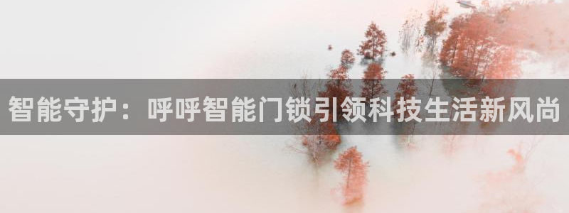 开丰娱乐注册：智能守护：呼呼智能门锁引领科技生活新风尚