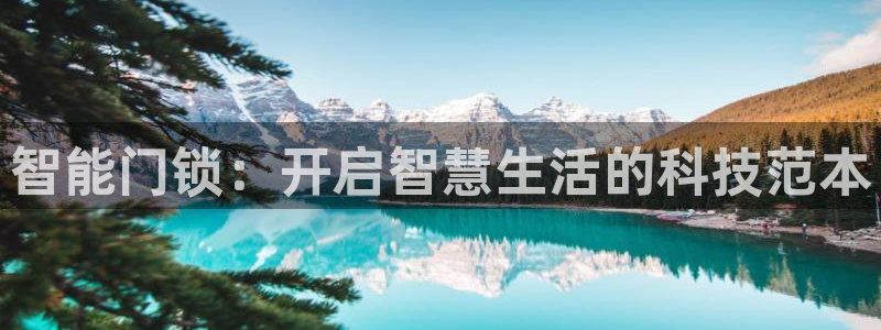 开丰娱乐网址：智能门锁：开启智慧生活的科技范本