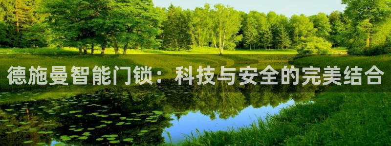 开丰娱乐网站官网下载：德施曼智能门锁：科技与安全的完美结合