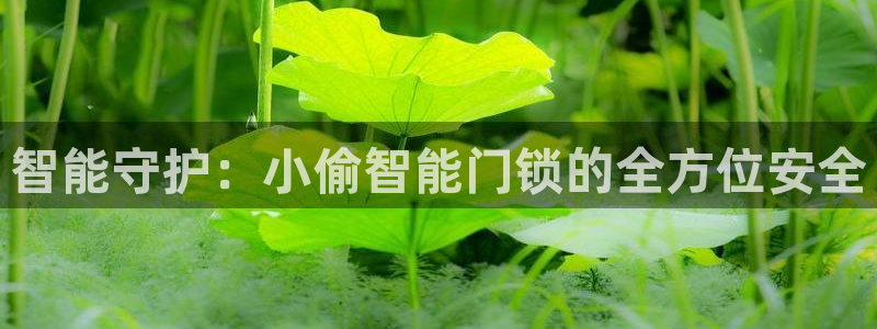 开丰娱乐最新活动：智能守护：小偷智能门锁的全方位安全