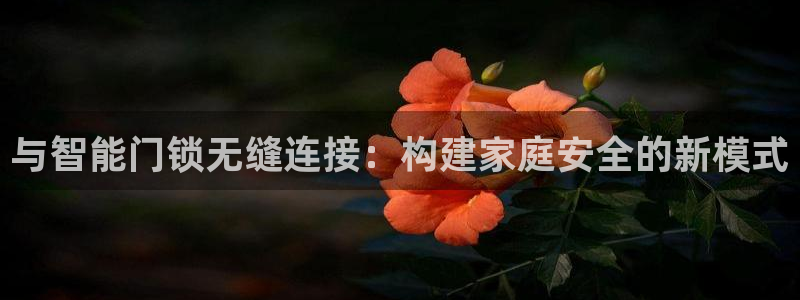 开丰娱乐登录官方网站：与智能门锁无缝连接：构建家庭安全的新模