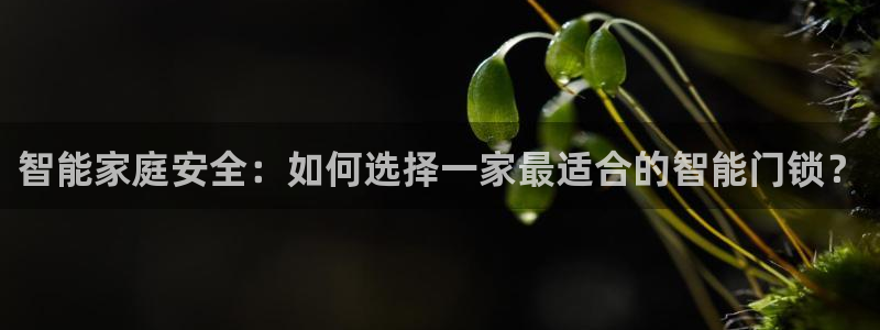 开丰娱乐后：智能家庭安全：如何选择一家最适合的智能门锁？