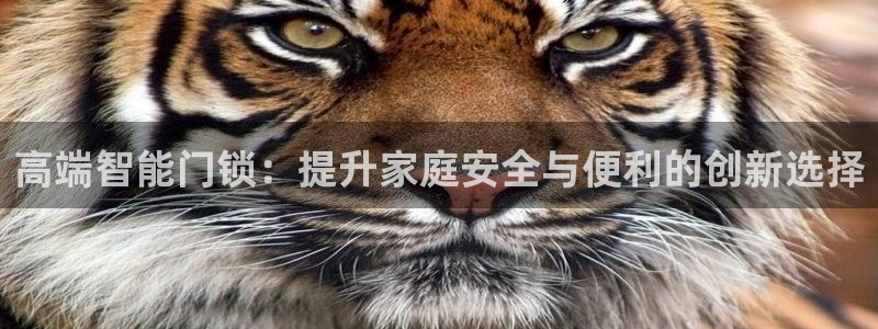 开丰娱乐平台登录：高端智能门锁：提升家庭安全与便利的创新选择