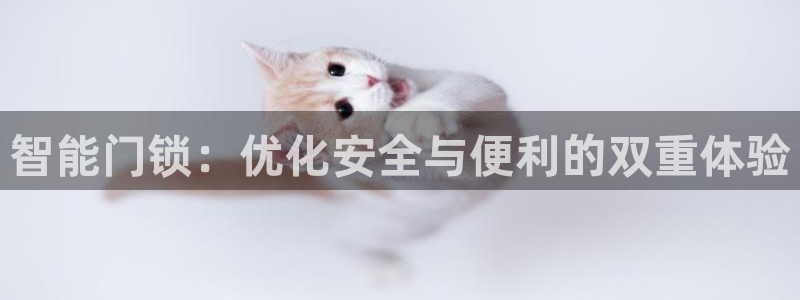 开丰娱乐平台登录：智能门锁：优化安全与便利的双重体验
