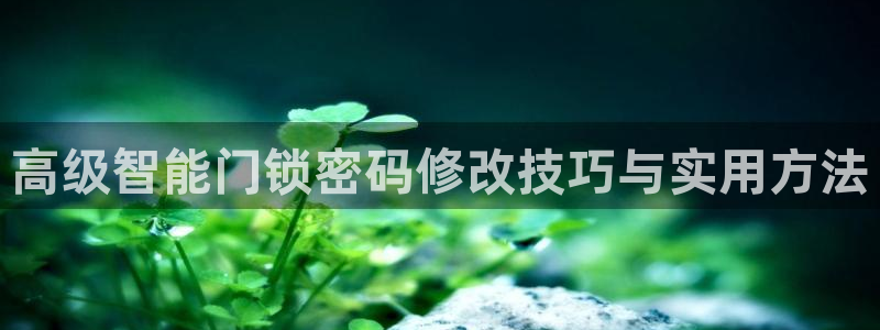 开丰娱乐登入地址在哪：高级智能门锁密码修改技巧与实用方法