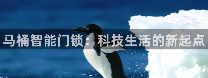 开丰娱乐姜333OO：马桶智能门锁：科技生活的新起点