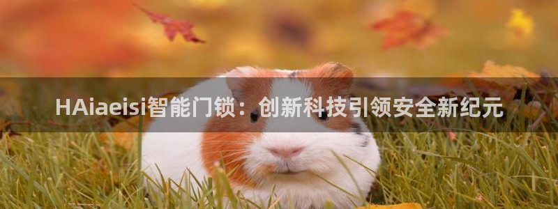 开丰娱乐会员中心：HAiaeisi智能门锁：创新科技引领安全