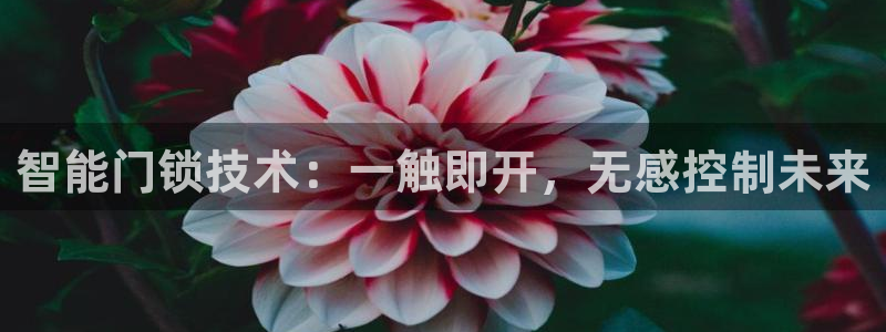 开丰娱乐乙833_43：智能门锁技术：一触即开，无感控制未来