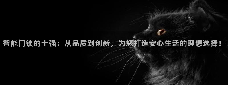 开丰娱乐天7O667：智能门锁的十强：从品质到创新，为您打造